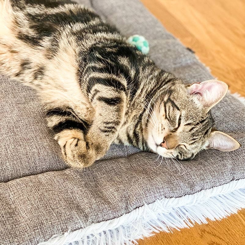 2-in-1 Soothing Cat Bed 11