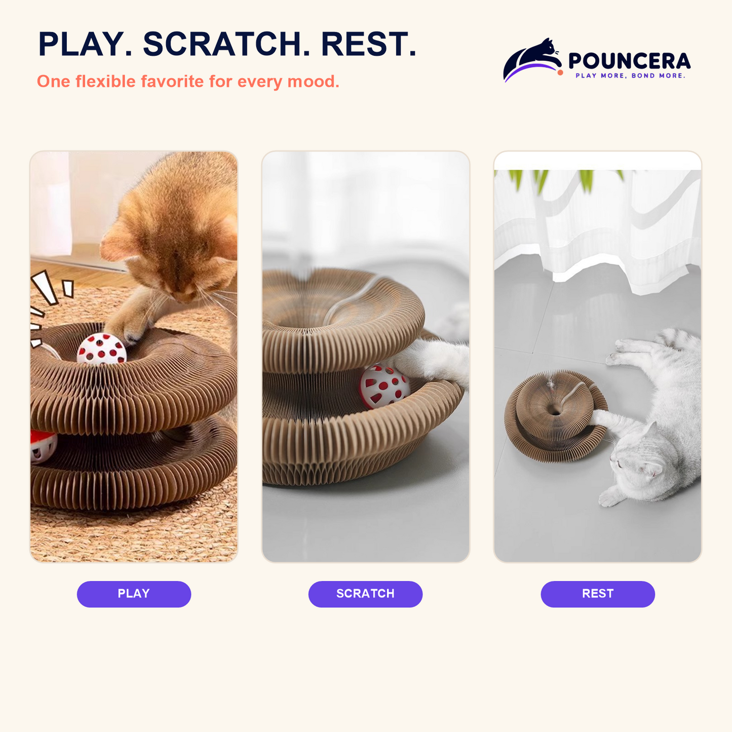 Cat playing scratching and resting with a flexible accordion cat scratcher