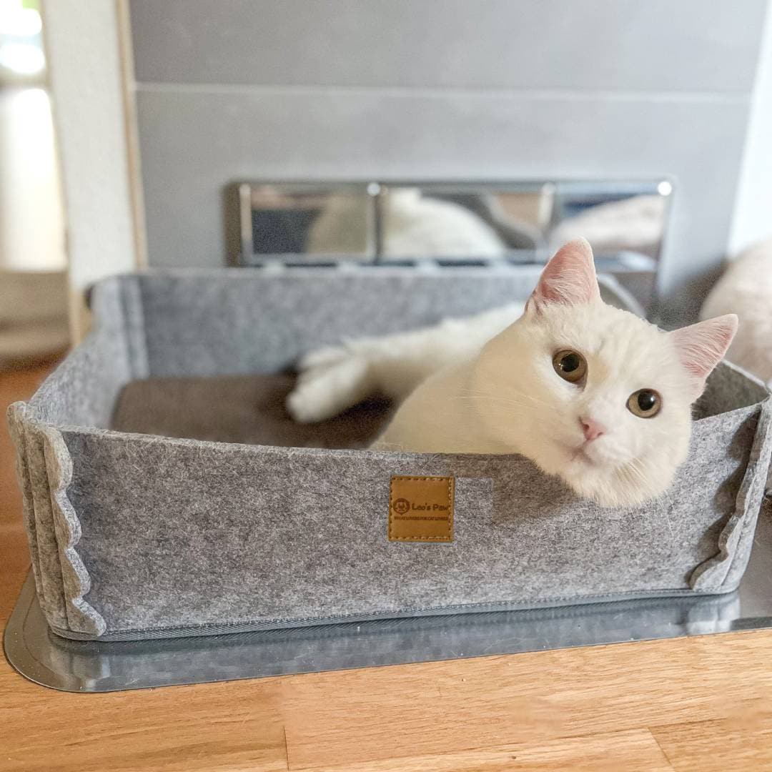 2-in-1 Scratching Cat Bed 8