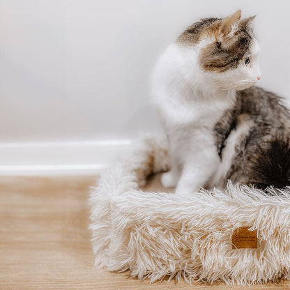 2-in-1 Scratching Cat Bed 9