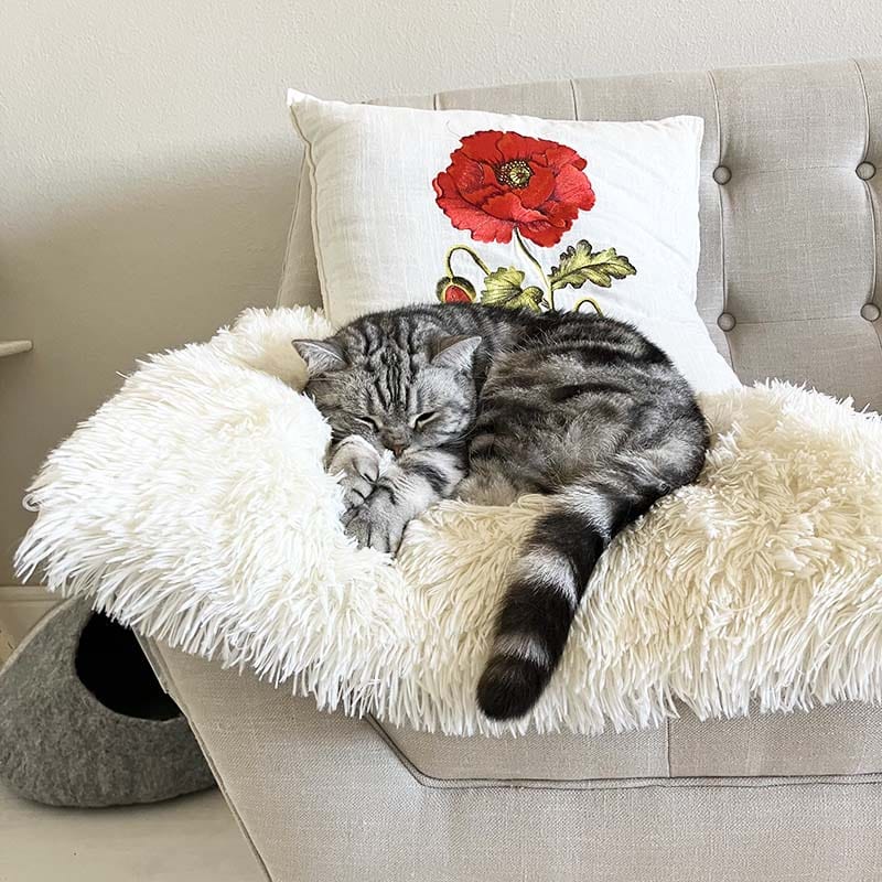 2-in-1 Soothing Cat Bed 5