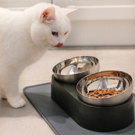 Anti-Vomiting Stainless Steel Cat Bowl 2