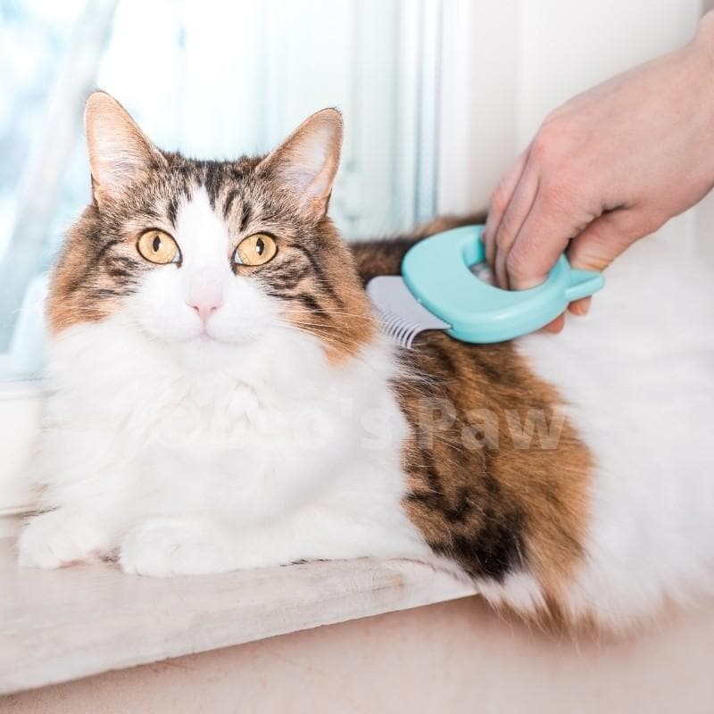Cat Hair Removal Massaging Shell Comb 6