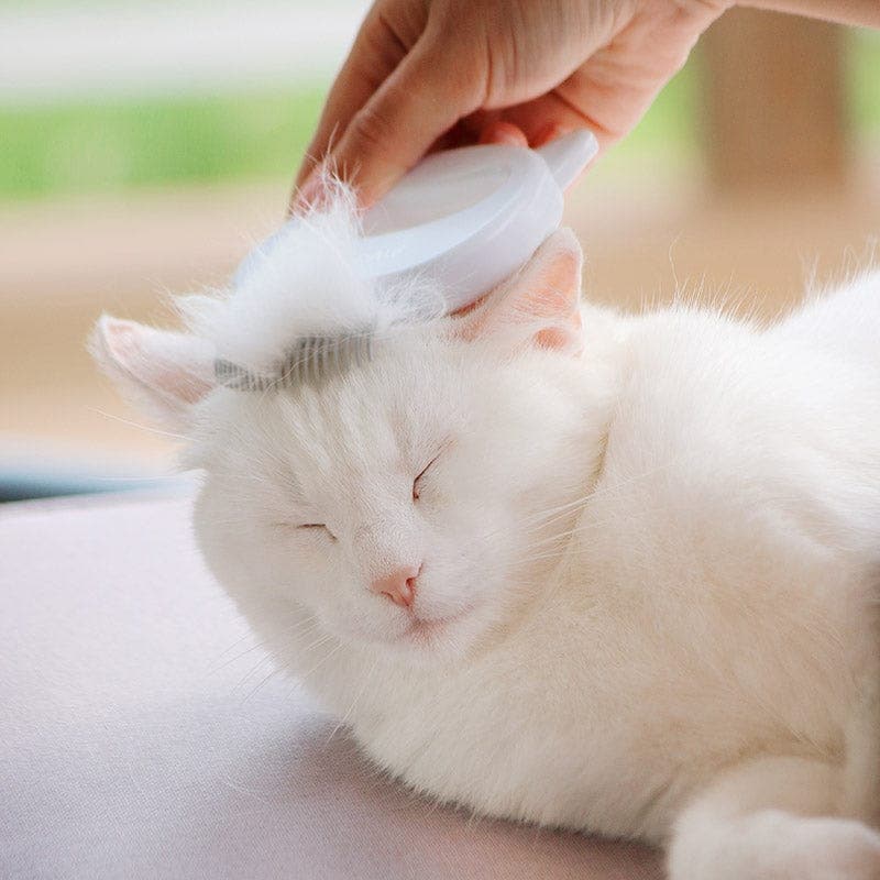 Cat Hair Removal Massaging Shell Comb 8