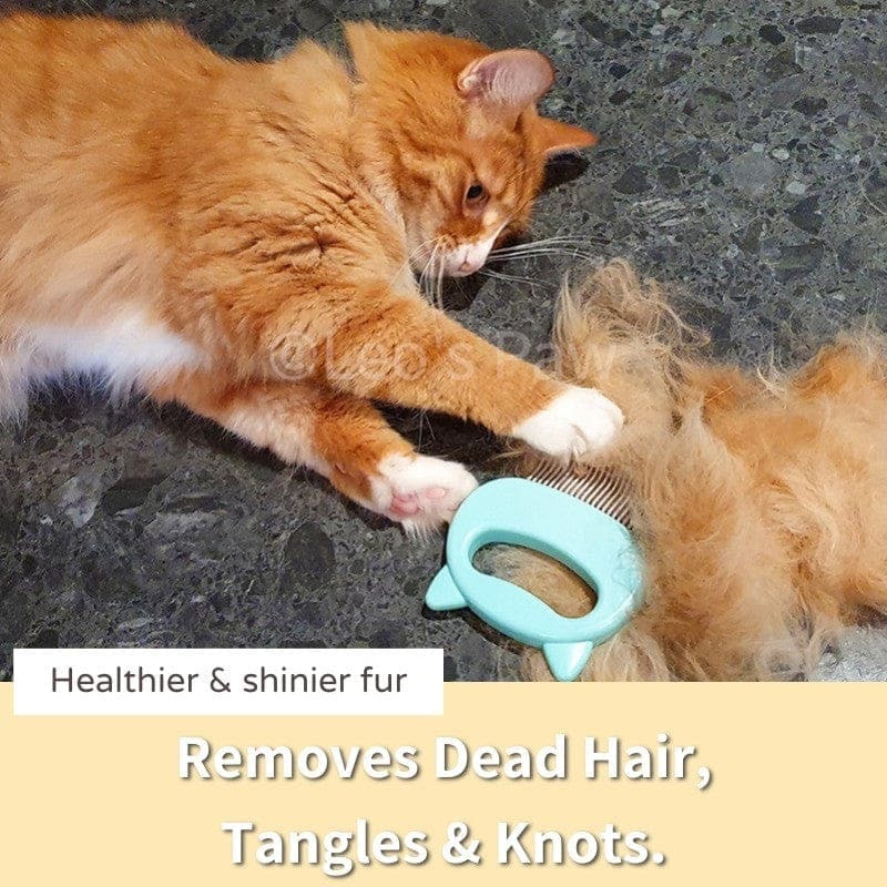 Cat Hair Removal Massaging Shell Comb 4