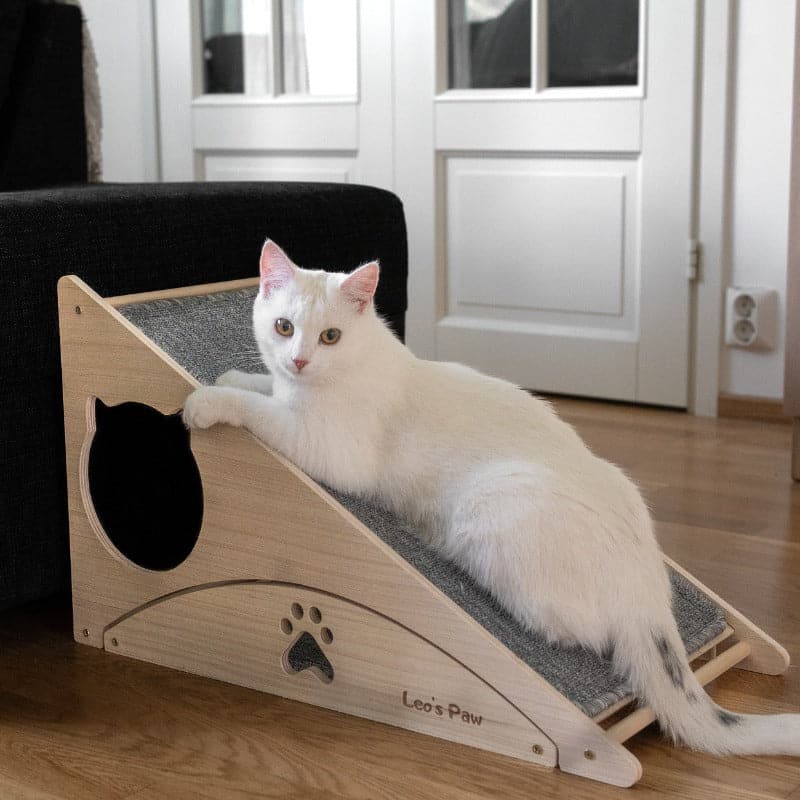 Cat Scratch and Play Ramp 7