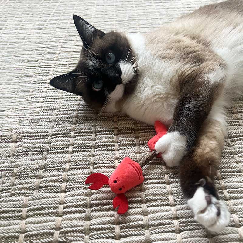 Catnip Toys with Chew Stick 6