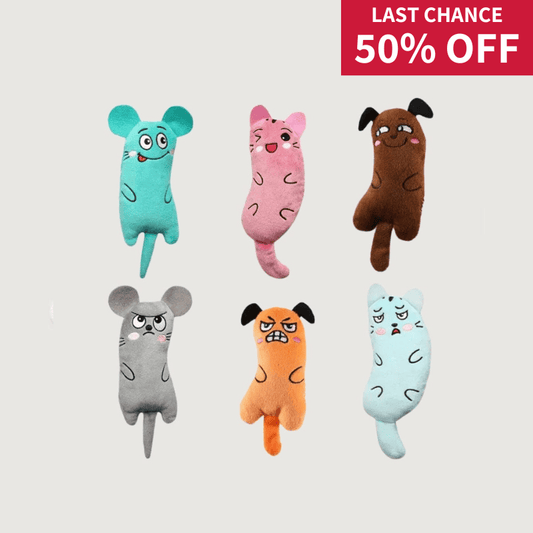 Meow Mates™ 6-Piece Catnip Companion & Play Pack