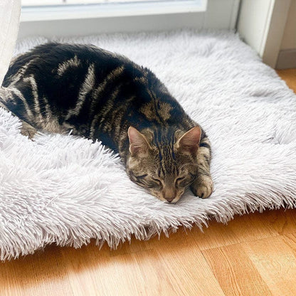 2-in-1 Soothing Cat Bed 3