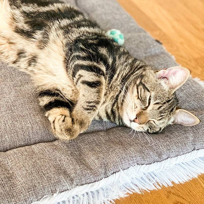 2-in-1 Soothing Cat Bed 11
