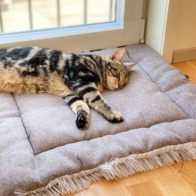 2-in-1 Soothing Cat Bed 4