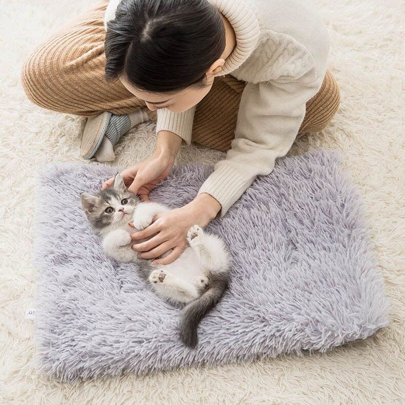 2-in-1 Soothing Cat Bed 9