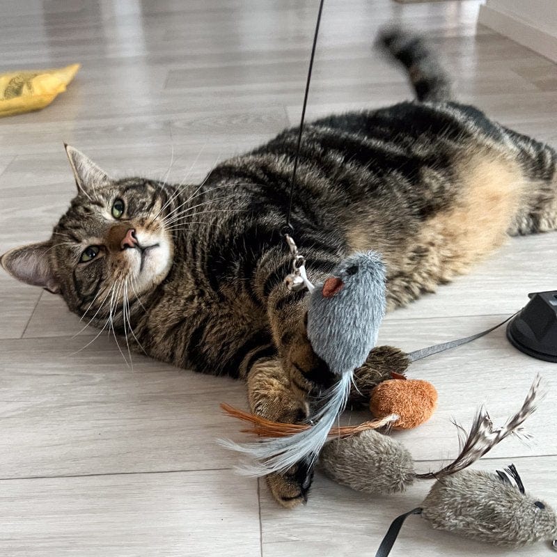 Replacement Mice (for Interactive Bird Simulation Cat Toy) 2