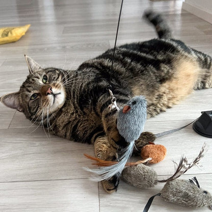 Replacement Mice (for Interactive Bird Simulation Cat Toy) 2