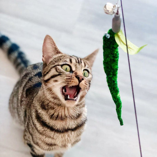 Replacement Worms (for Interactive Bird Simulation Cat Toy Set) 2