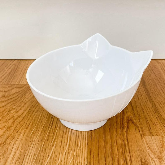 Anti-Vomiting Orthopedic Replacement Bowl 2