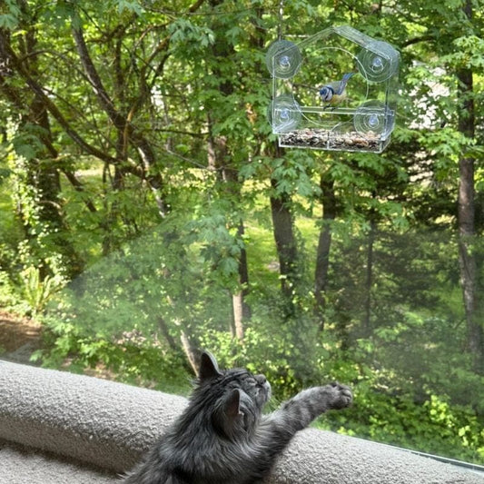 Window Bird Feeder - Real Life Cat TV 2
