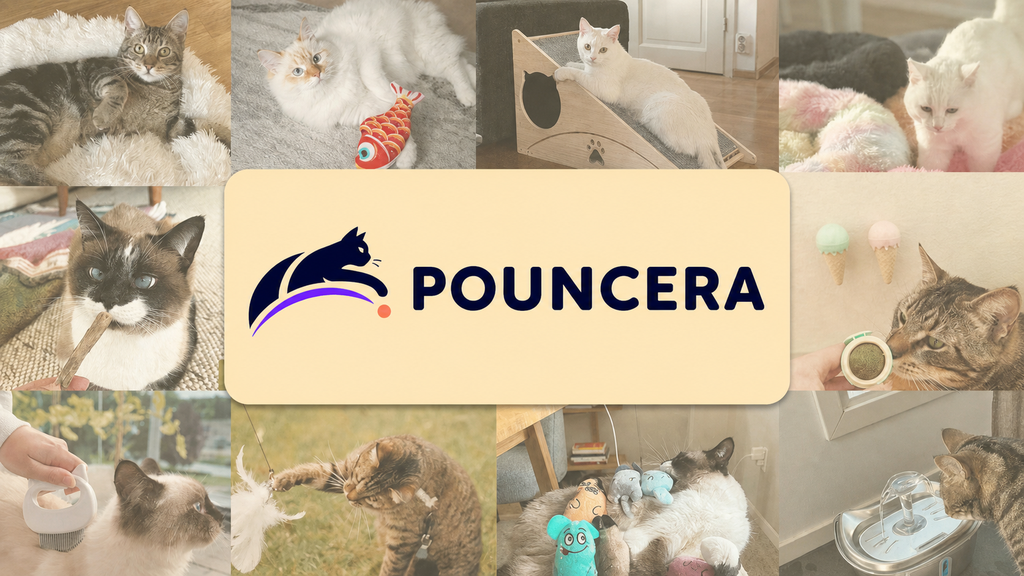 POUNCERA cat lover community