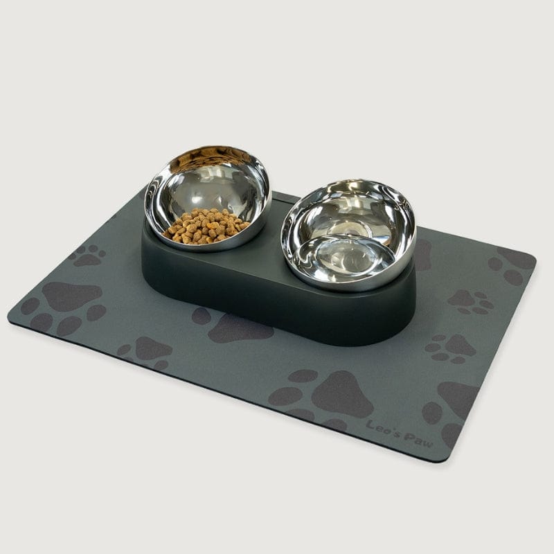 POUNCERA Anti-Vomiting Stainless Steel Cat Bowl