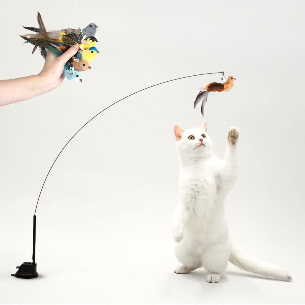 POUNCERA Interactive Bird Simulation Cat Toy Set | Leo's Paw